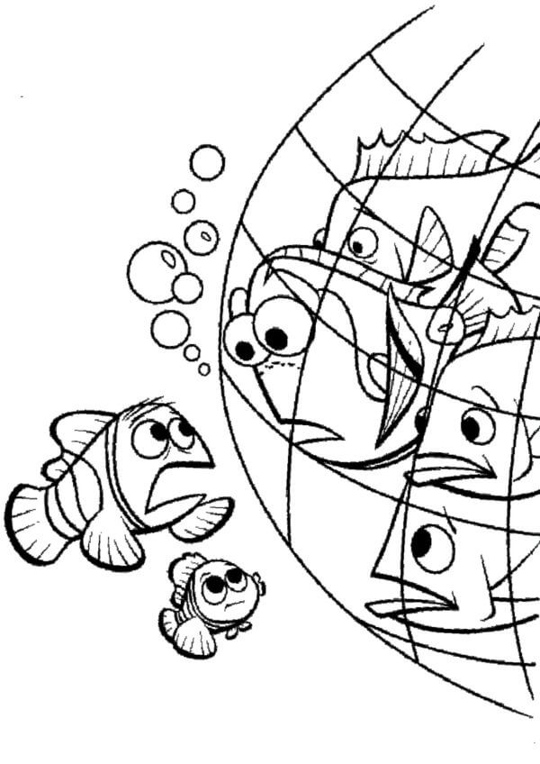 Nemo's Network Friends coloring page - Download, Print or Color Online ...