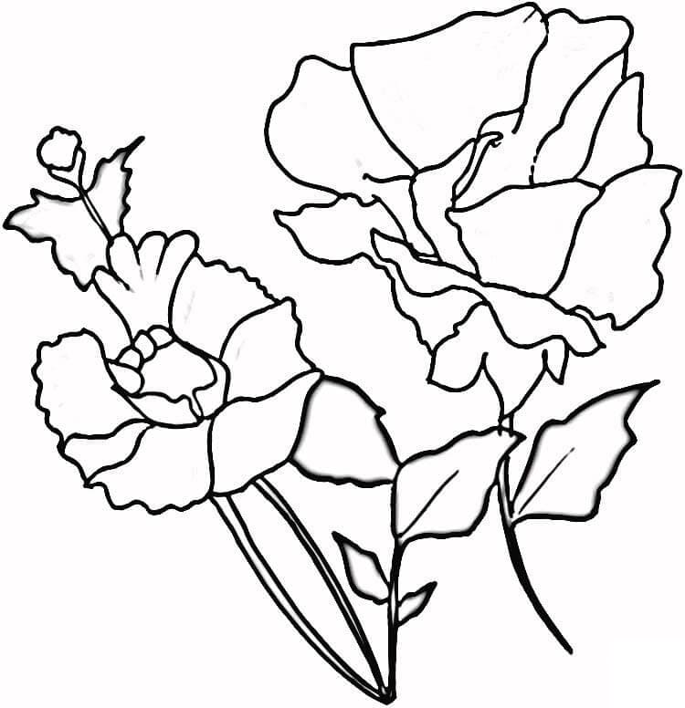 Perfect Poppy Flower coloring page - Download, Print or Color