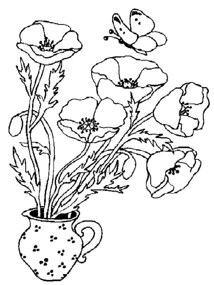 Poppies in a Vase