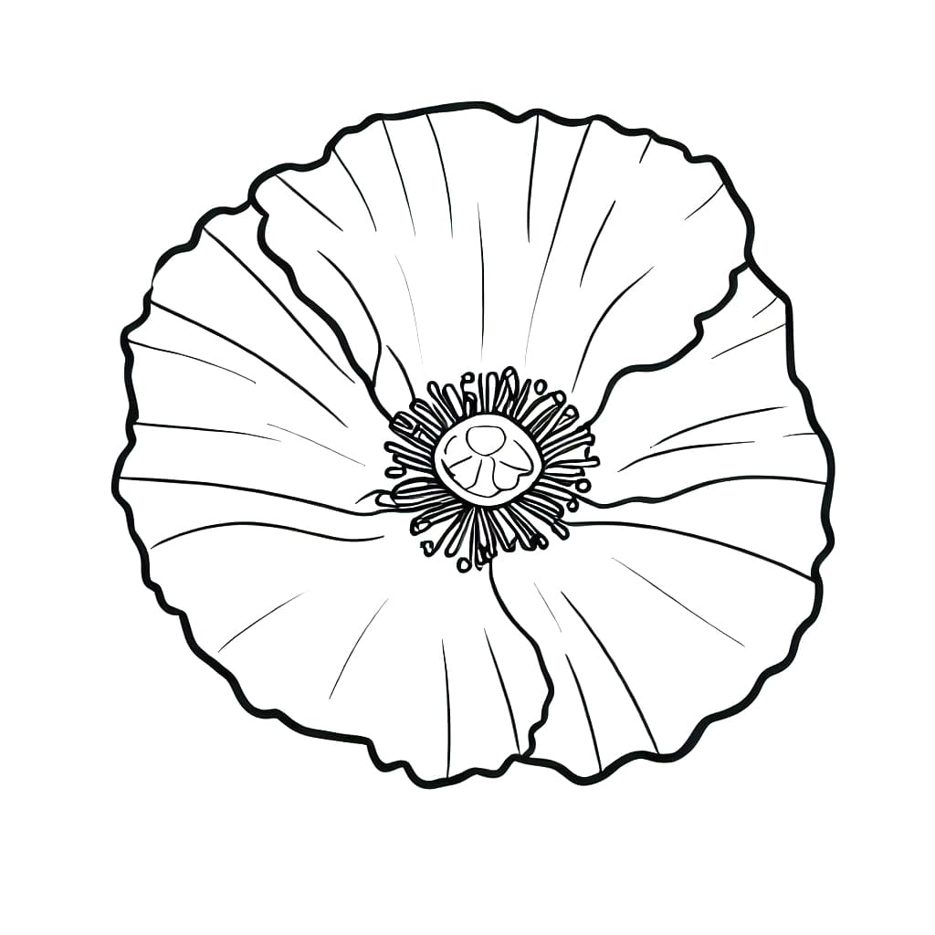 Simple Poppy Flower coloring page - Download, Print or Color Online for ...