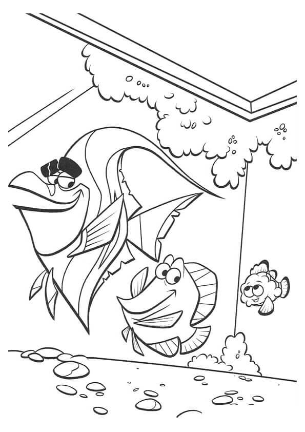 The Life Of Fish In An Aquarium coloring page