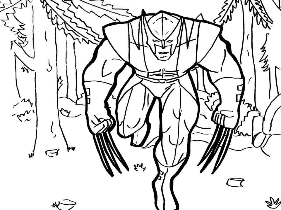 Wolverine in the Forest coloring page