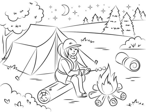 A Girl Prepares Marshmallows Under The Starry Night Sky