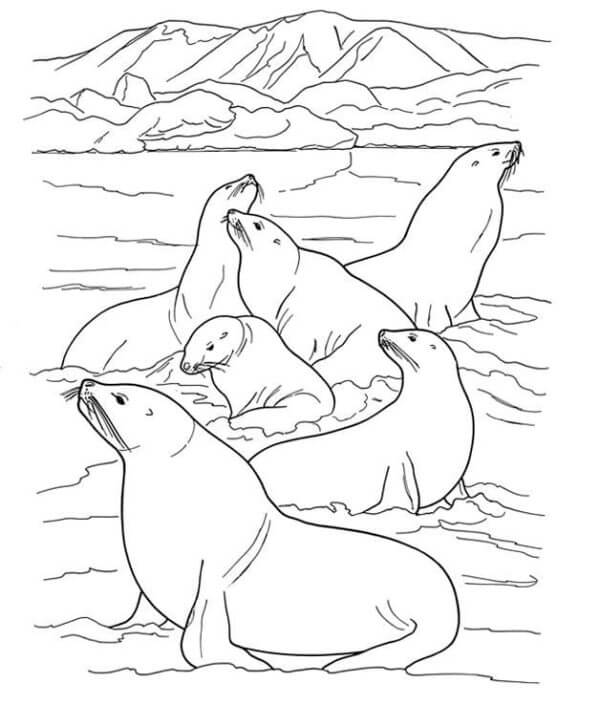 Animal Games in Ice Water coloring page