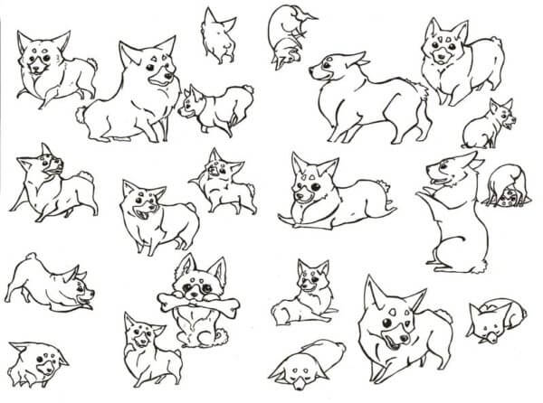 Baby Corgi From all Angles coloring page