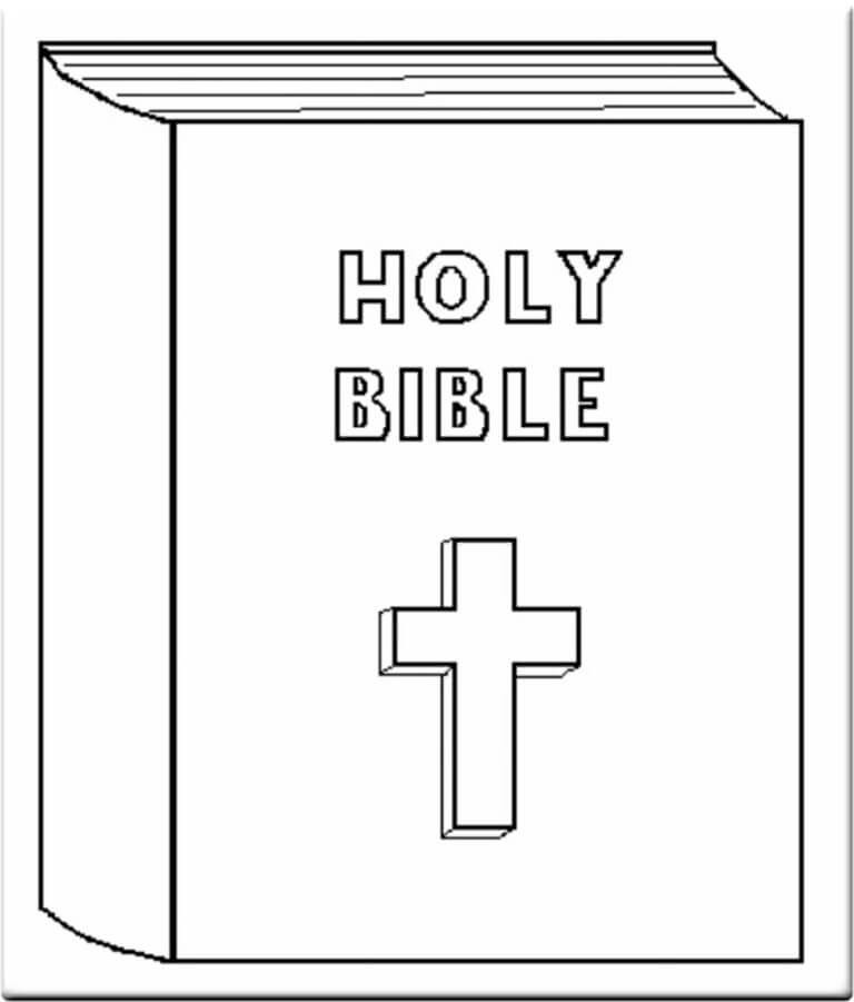 Basic Bible Book