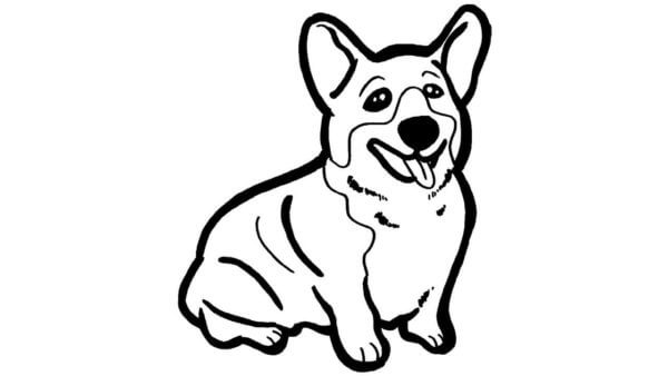 Basic Corgi coloring page