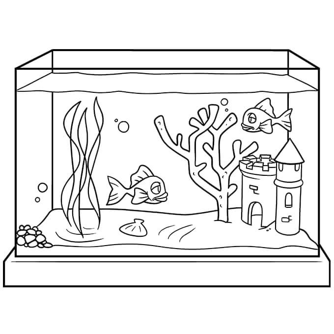 Castle in The Aquarium