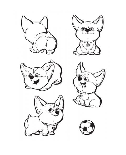 Clockwork Corgi is Played With a Ball coloring page