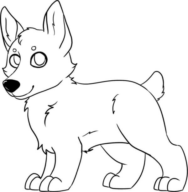 Corgi Puppies coloring page