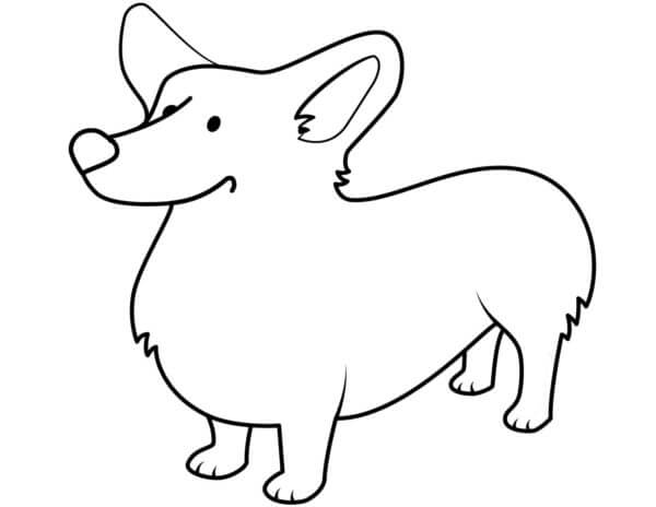 Corgis Have Short Coats That Are Easy To Care For coloring page