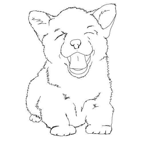 Cute Baby Corgi coloring page