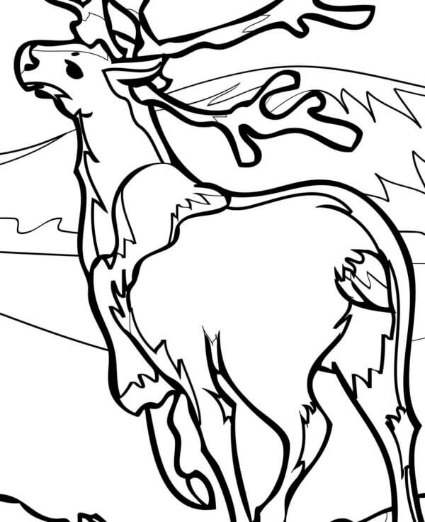 Deer Living in The North coloring page