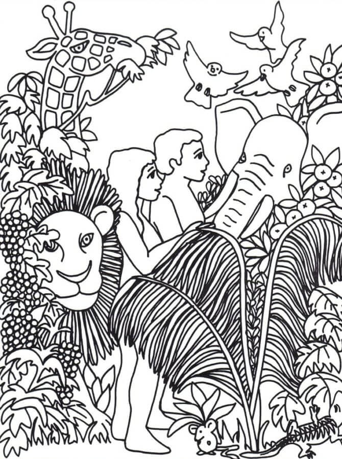 Elephant, Giraffe, Lion And Birds Surrounded Adam And Eve