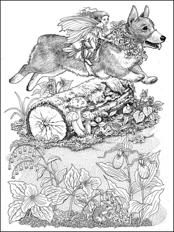 Fairy Fairy Riding a Corgi coloring page