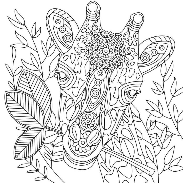 Find The Giraffe Hidden in The Patterns coloring page