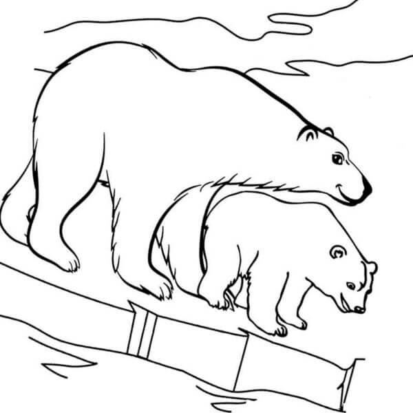 Ice Floe Fun coloring page