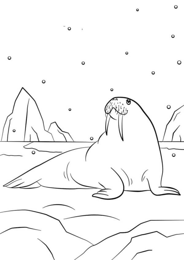 Lazy Walrus Resting in The Snow coloring page