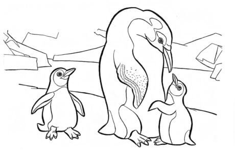 Mother And Two Baby Penguins coloring page