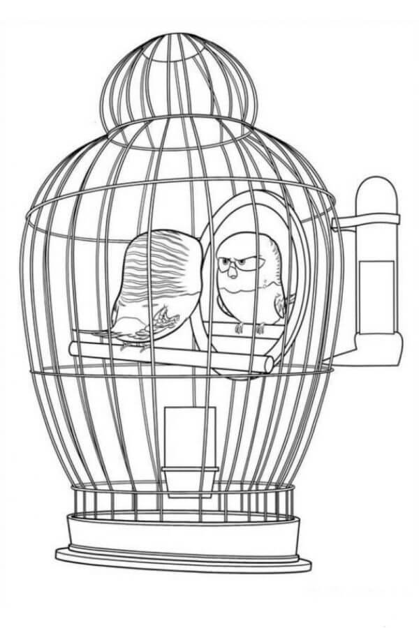 Parrot in a Cage