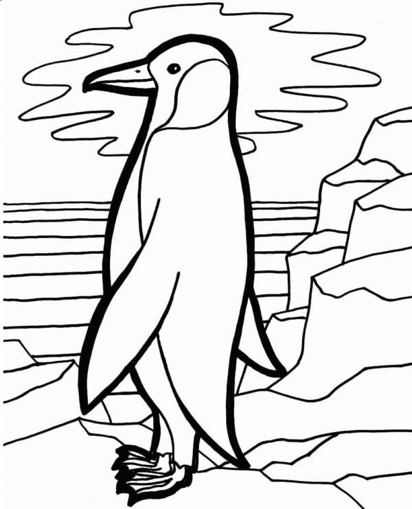 Penguin Standing coloring page