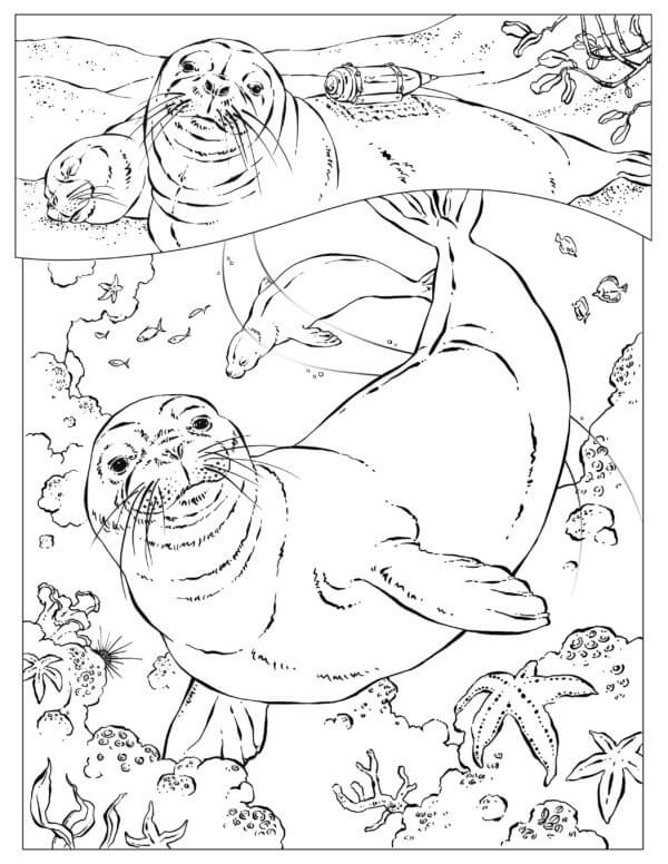 Sea Adventures of Cats coloring page