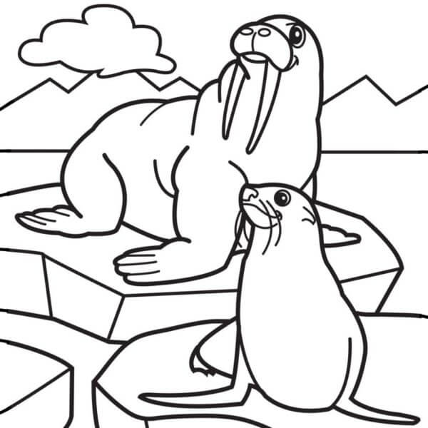 Seals Bask in The Sun coloring page