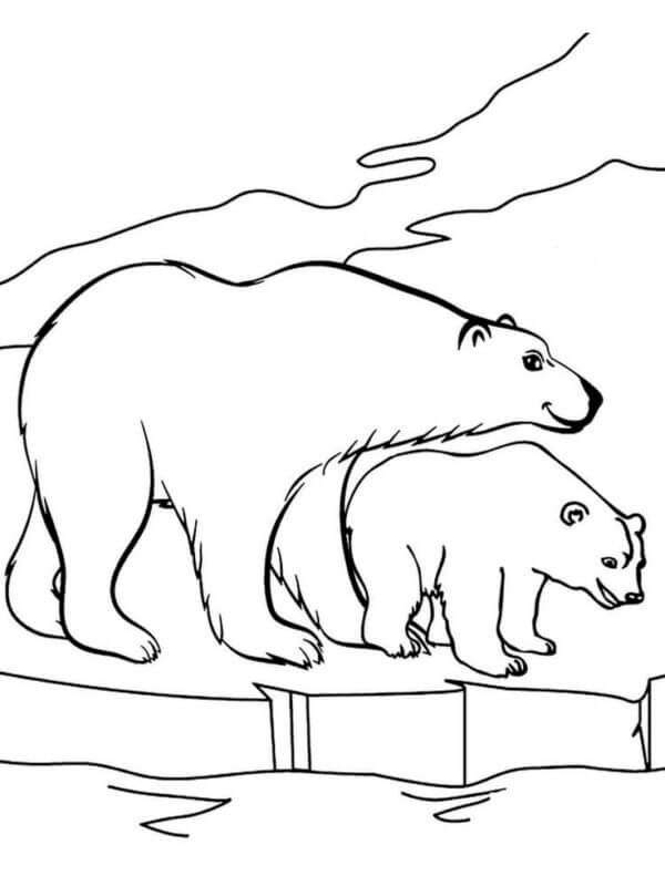 Smiling Two Bears coloring page