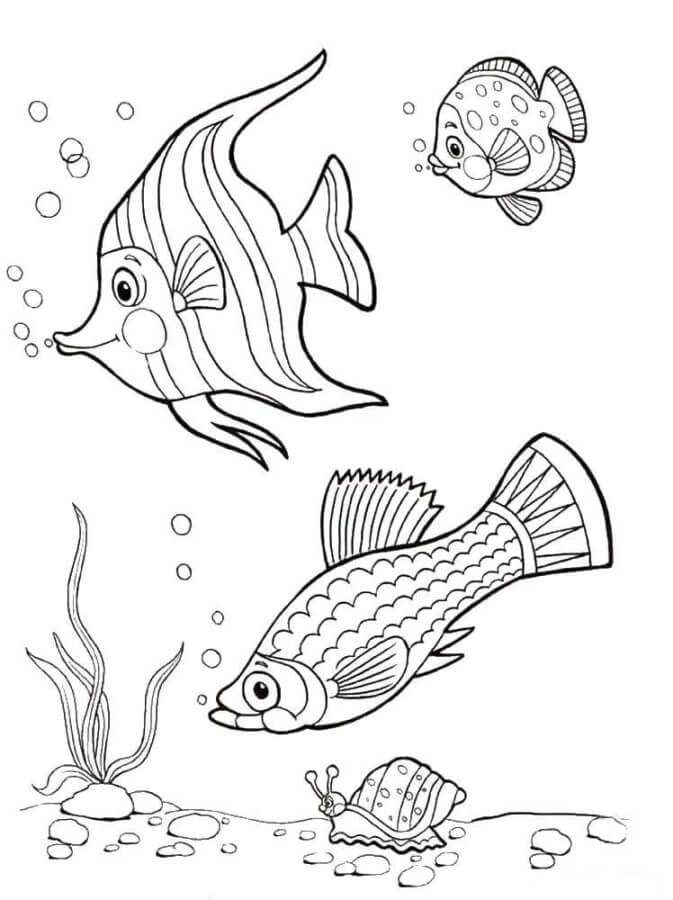 Snail Racing coloring page