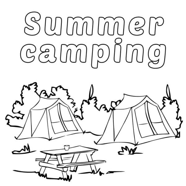 Sunny Camping For Nature Lovers