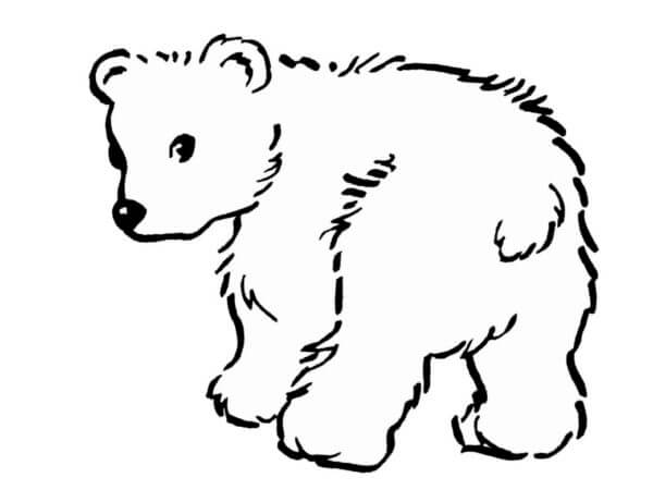 Teddy Bear Runs in The Snow coloring page