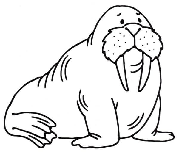 The Most Recognizable Inhabitant of The North coloring page