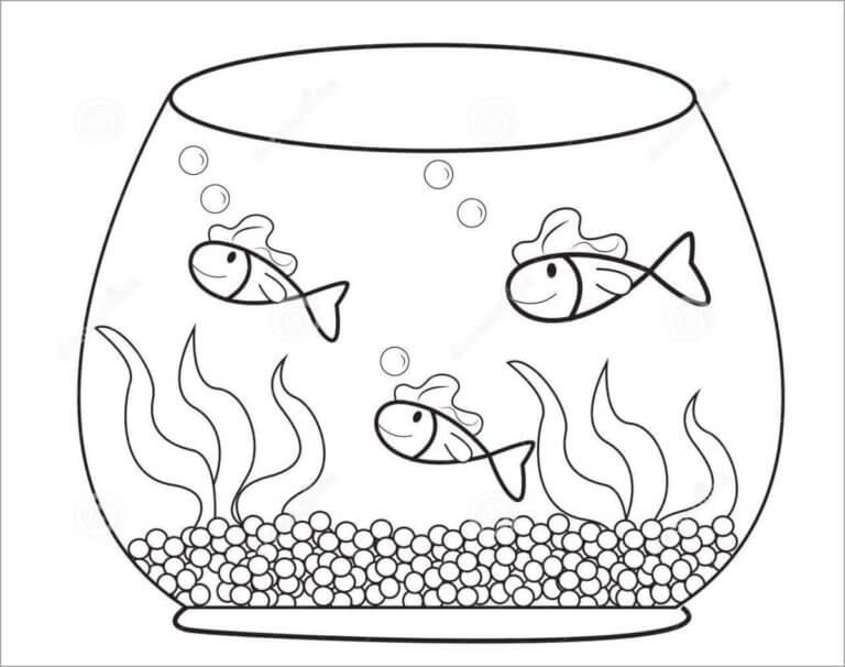 Three Fishes in Aquarium