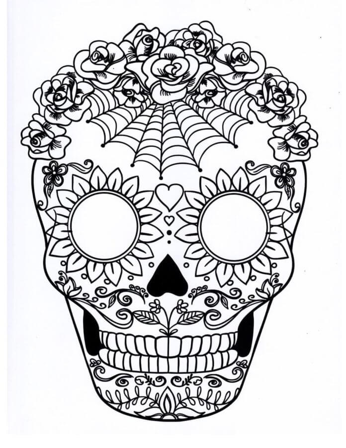 Web on The Head of The Skull coloring page