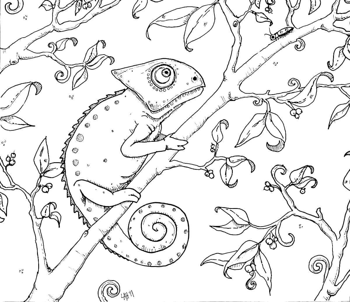 A Chameleon in the Tree coloring page