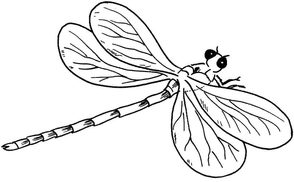 A Dragonfly coloring page - Download, Print or Color Online for Free