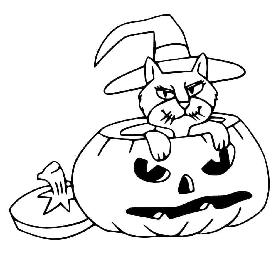 A Halloween Cat