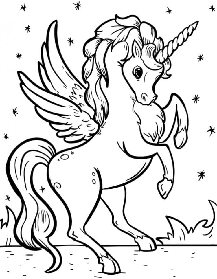 Alicorn Sheet 2