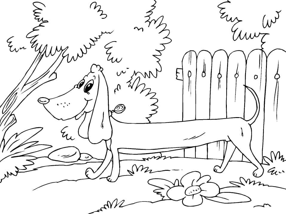 Animated Dachshund coloring page