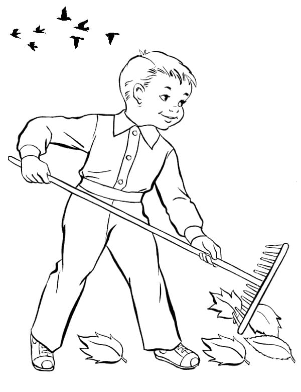 Boy is Raking Fall Leaves coloring page - Download, Print or Color ...