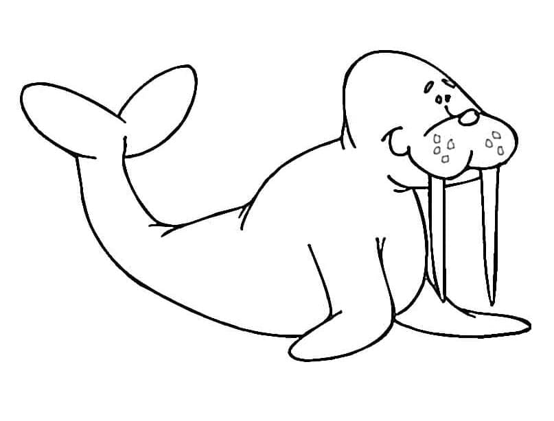 Cartoon Funny Walrus coloring page