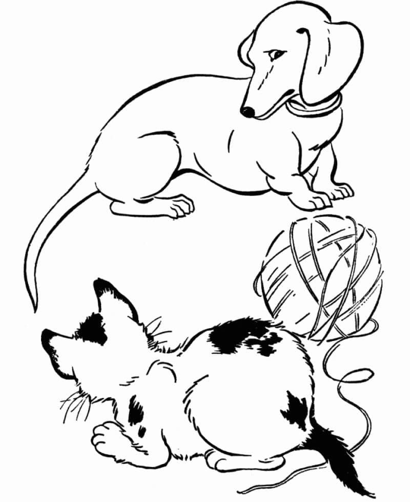 Cat and Dachshund coloring page