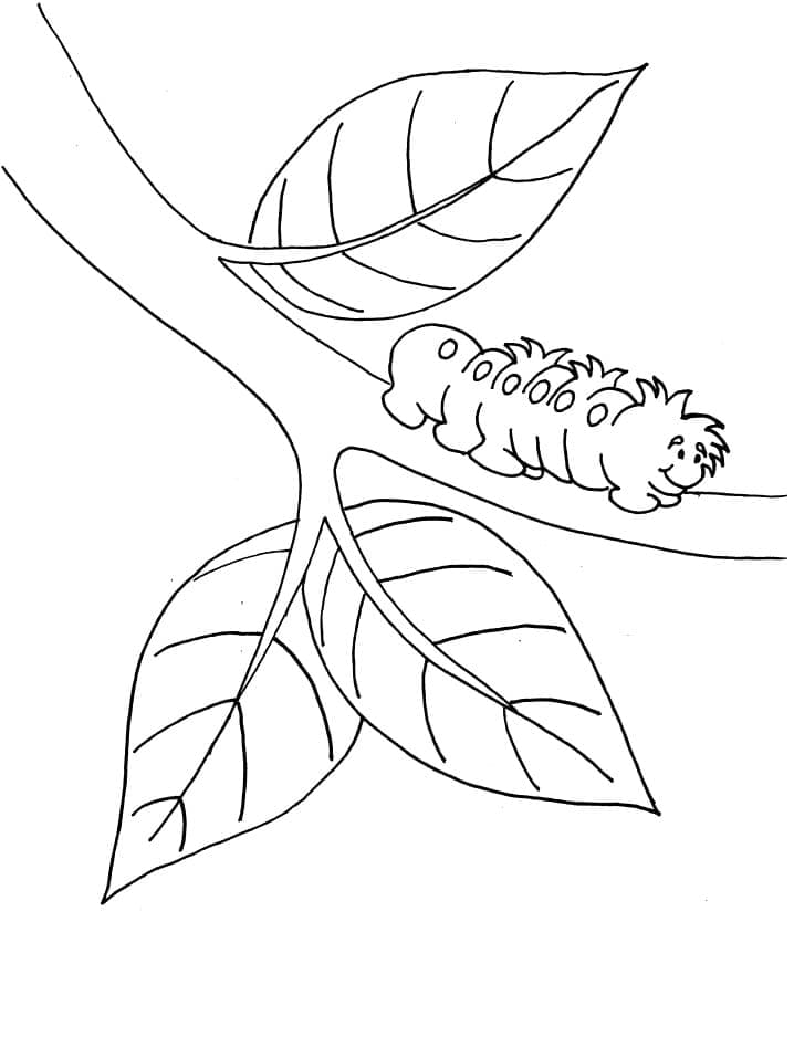 Caterpillar in the Tree coloring page