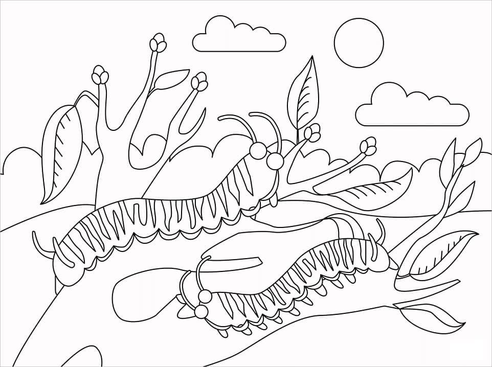 Caterpillars coloring page