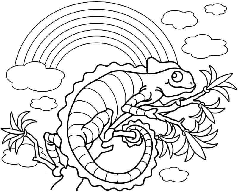 Chameleon and Rainbow coloring page