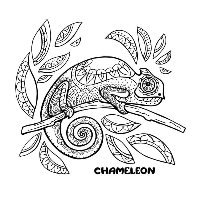 Chameleon Antistress