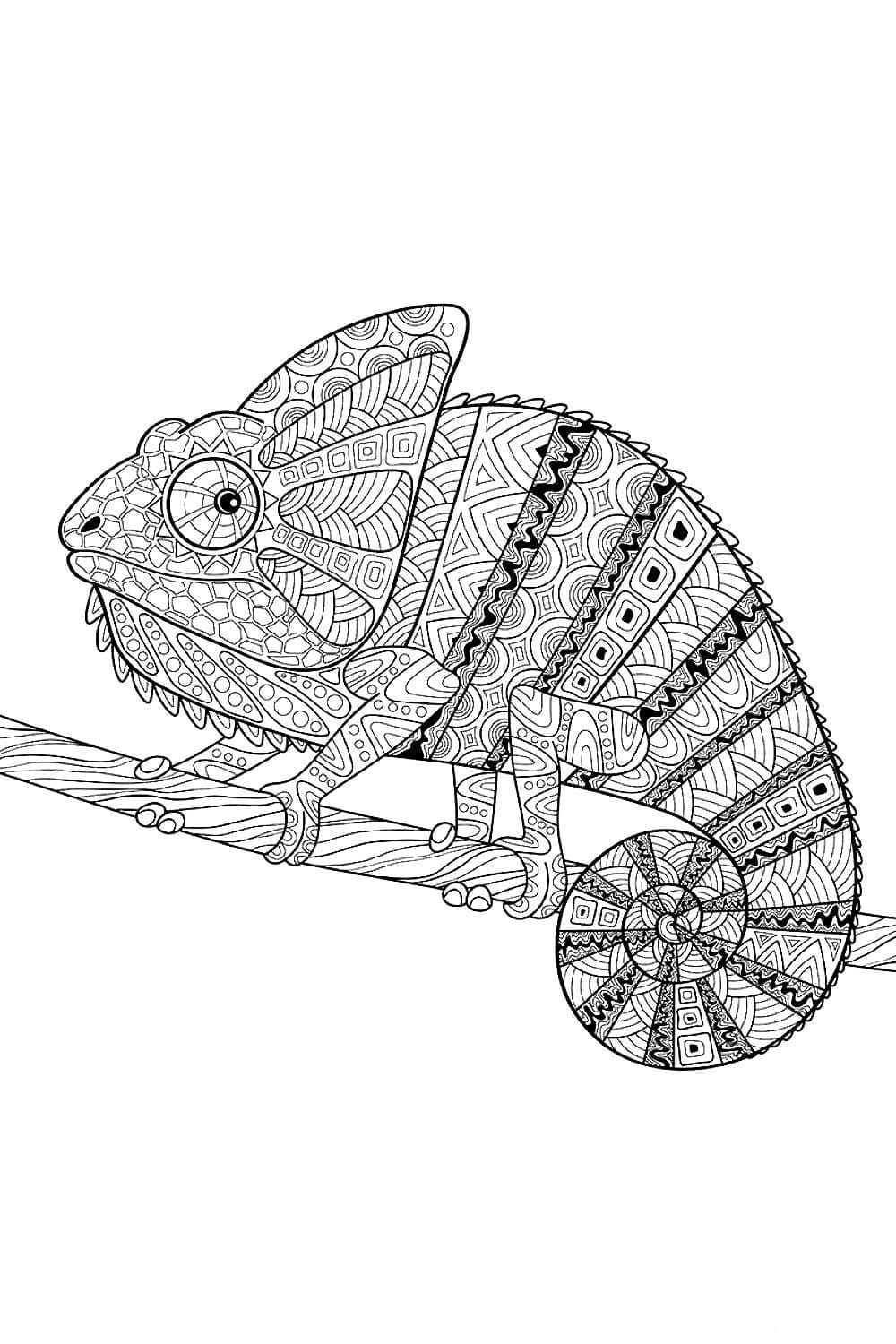 Chameleon for Adults coloring page