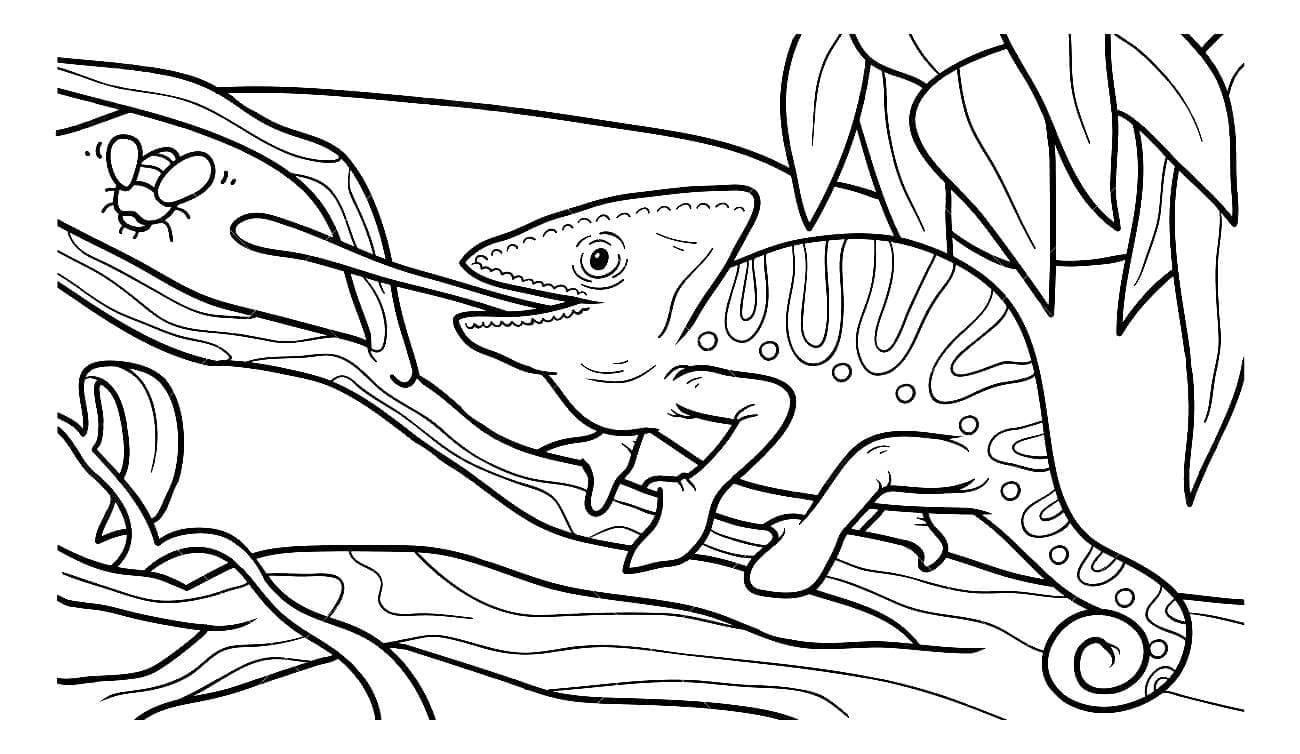 Chameleon For Kids coloring page - Download, Print or Color Online for Free
