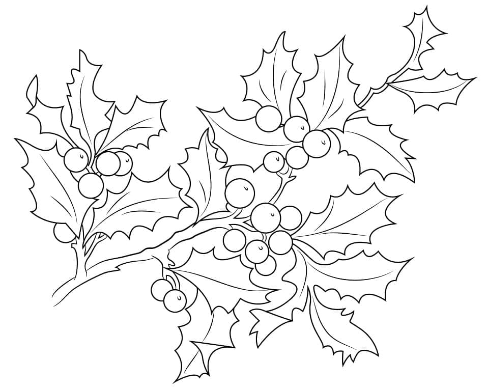 Christmas Holly Berries coloring page