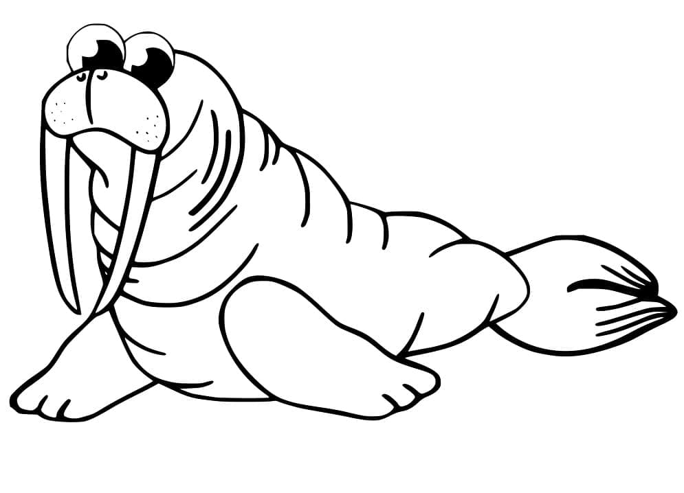 Curious Walrus coloring page